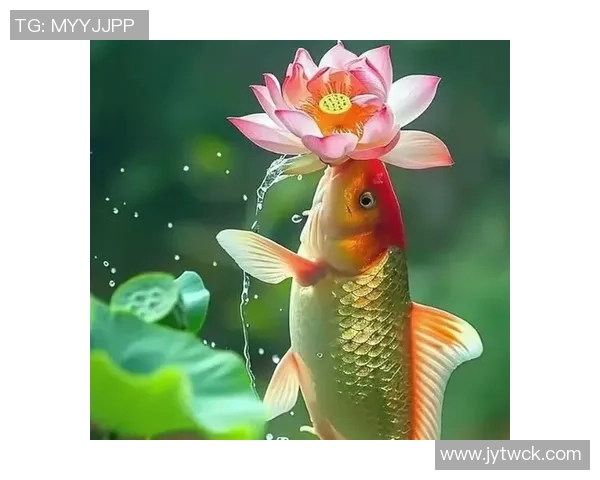 徐新自称阳光球迷称其锦鲤认为好运来自于不做亏心事 徐新自称阳光球迷称其锦鲤认为好运来自于不做亏心事